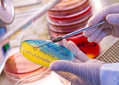 MICROBIOLOGY