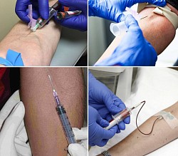 Blood sample collection